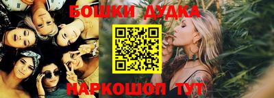 индика Будённовск