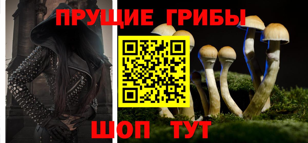Галлюциногенные грибы MAGIC MUSHROOMS Кувандык