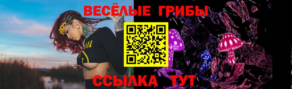 Кувандык  Галлюциногенные грибы MAGIC MUSHROOMS  Вход с VPN 