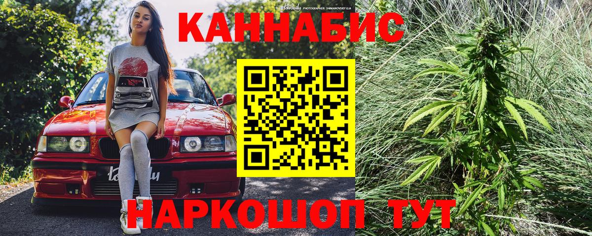 Бошки марихуана план  Каннабис THC 21%  Канабис White Widow  Вход с VPN  Кувандык 